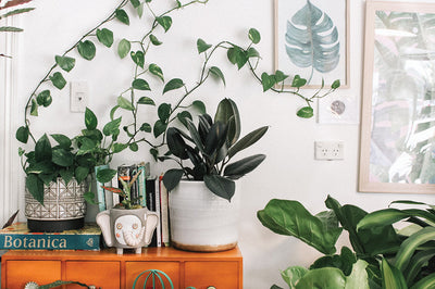 11 Easy Eco-Friendly Changes To Make Around Your Home This Year | Liv Magazine
