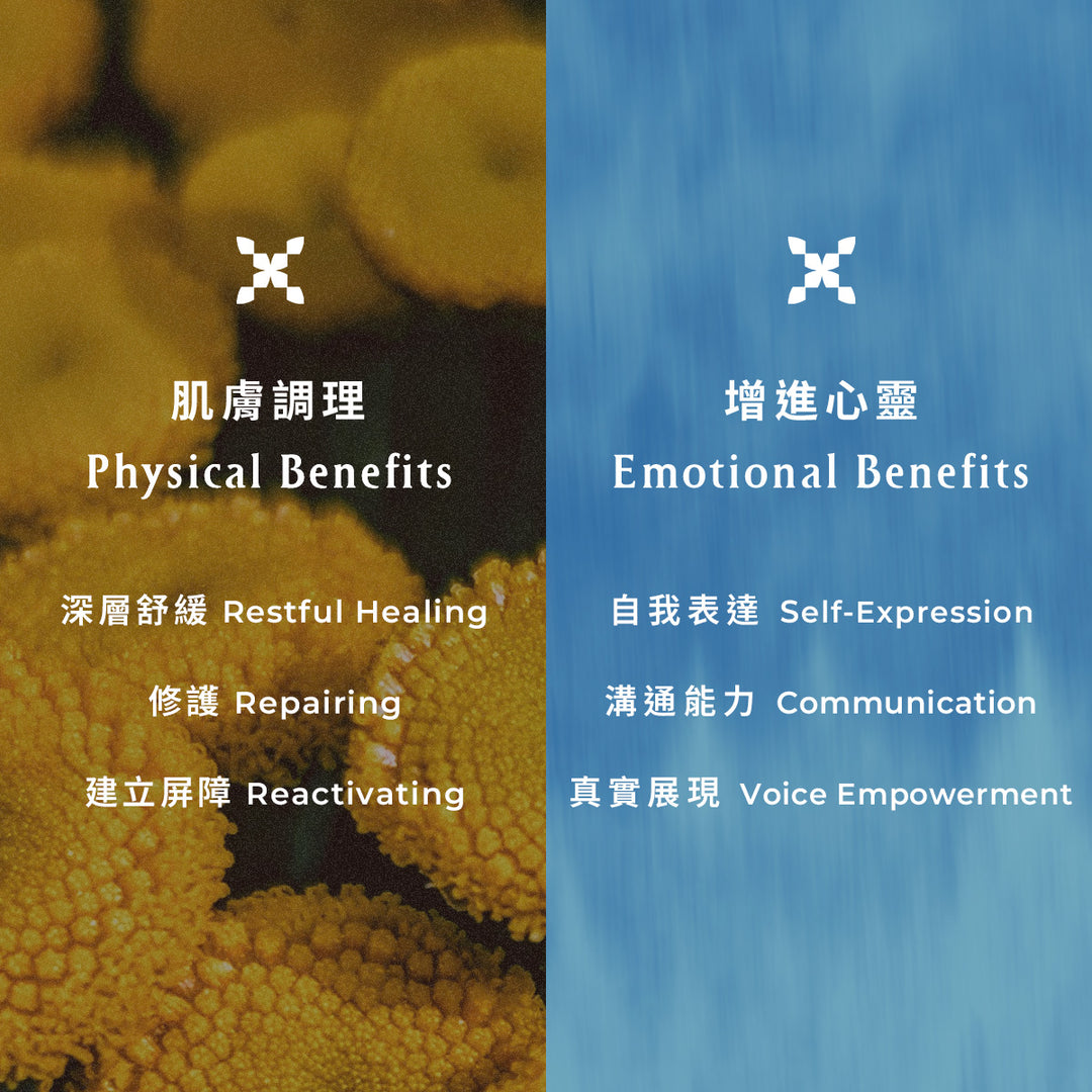 Blue Tansy Organic Face Mask - Slowood