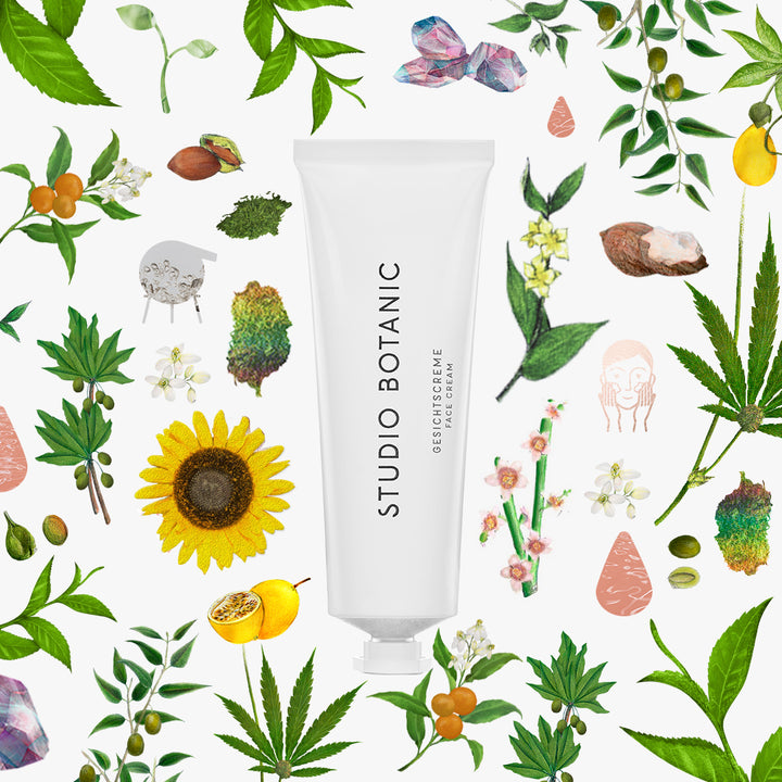 Shea Butter Rejuvenating Face Cream 50ml - Slowood