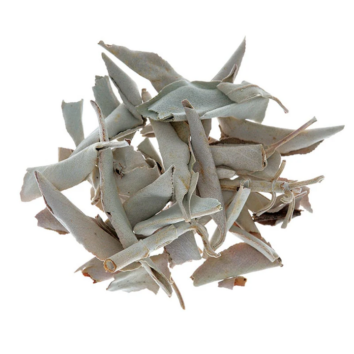 White Sage Incense (30 sticks with holder) - Slowood