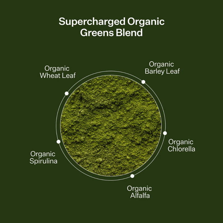 Protein & Organic Greens + Probiotics - Slowood