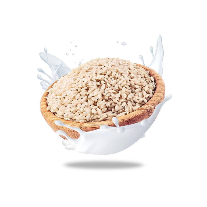 Organic Vegan Natural Rice Milk - Slowood