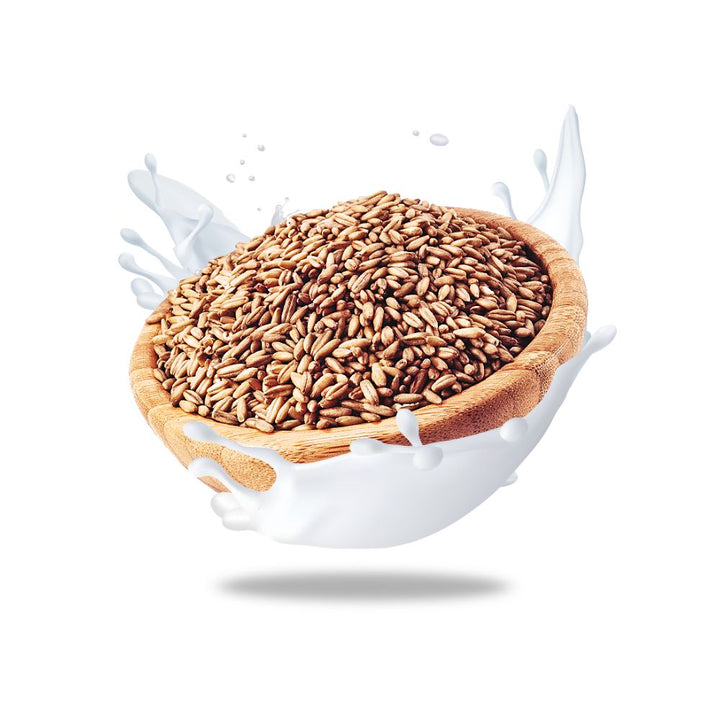 Organic Vegan Natural Oat Milk - Slowood