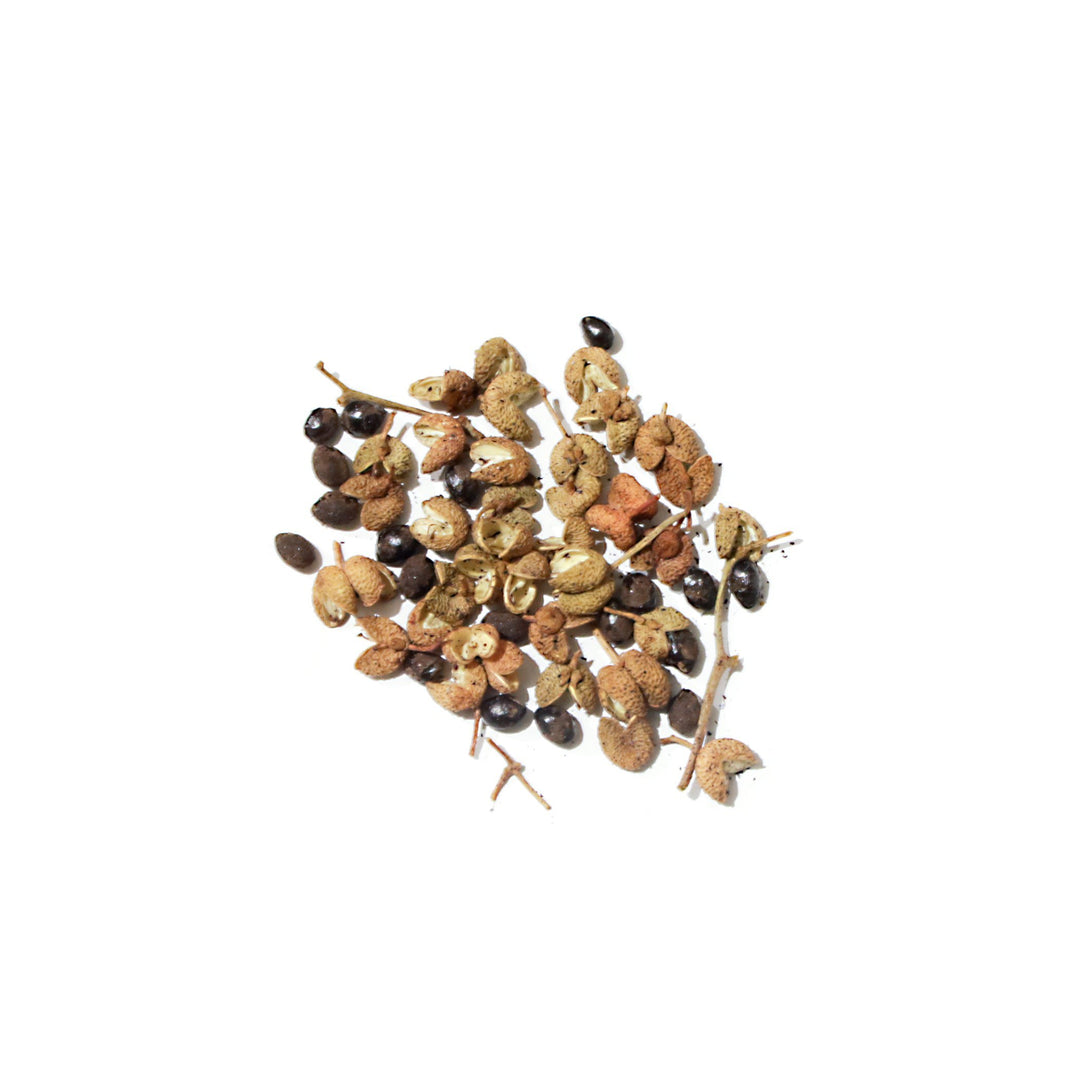 SP53 Whole Sansho - Slowood