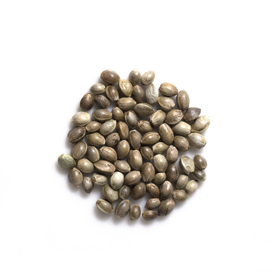 S02 Organic Hemp Seeds - Slowood