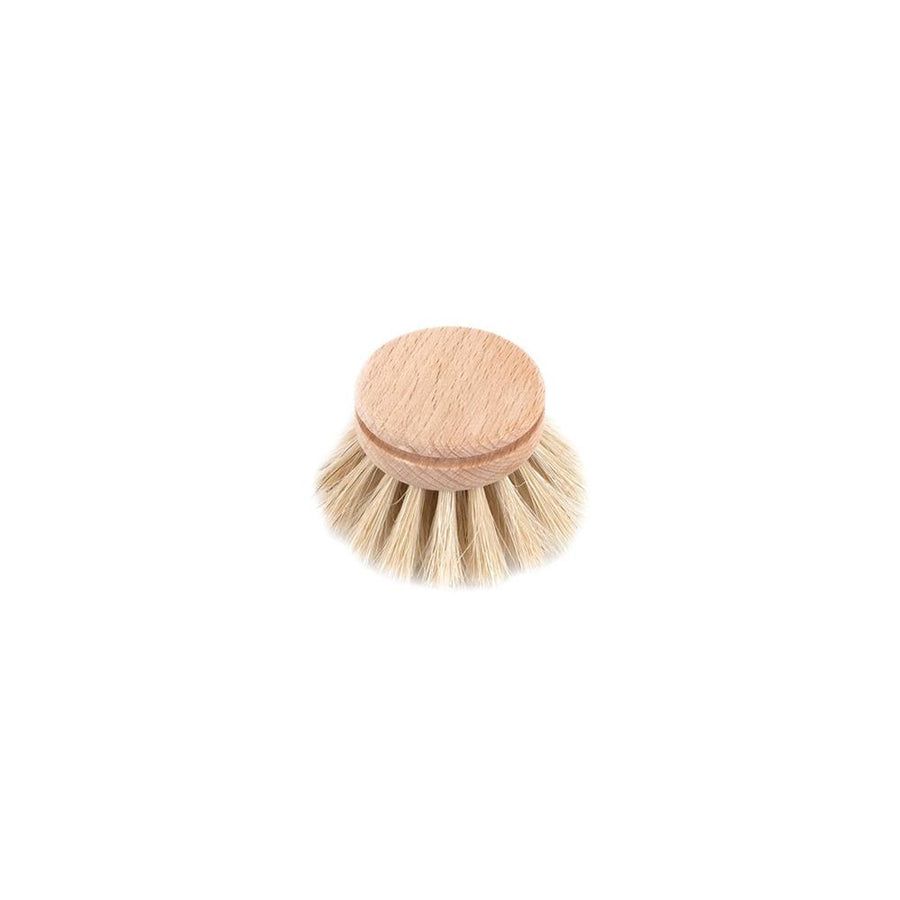 Dish Brush Everyday Refill (Beech, Horse hair) - Slowood
