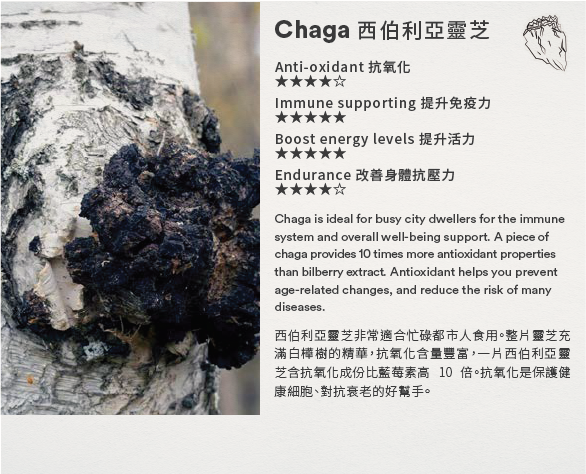 Chaga SOMA tincture - Slowood