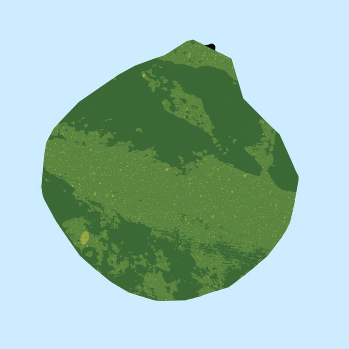 Bergamot Essential Oil 12ml - Slowood