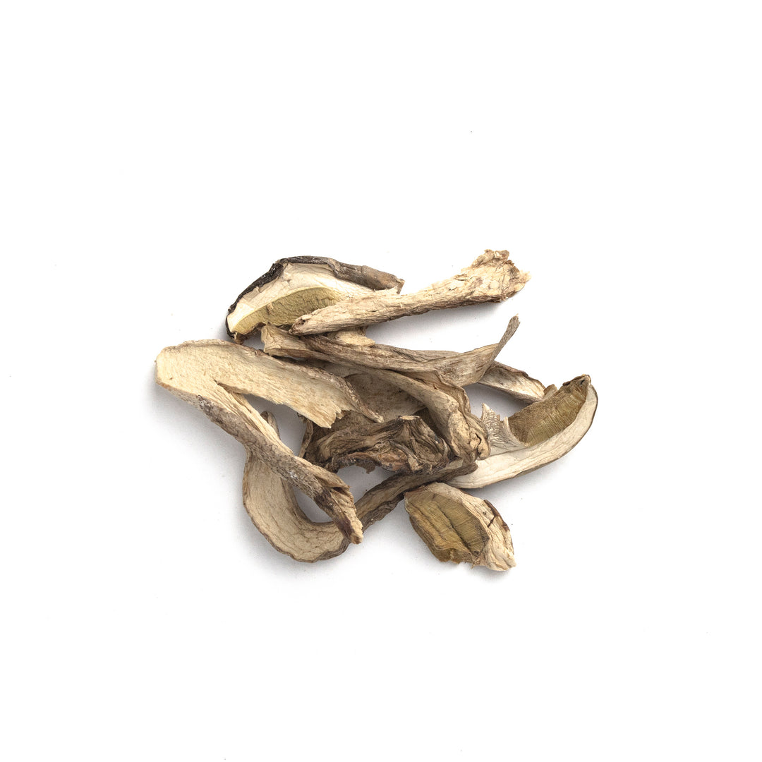 E47 Wild Harvested Porcini Mushroom Yunnan - Slowood
