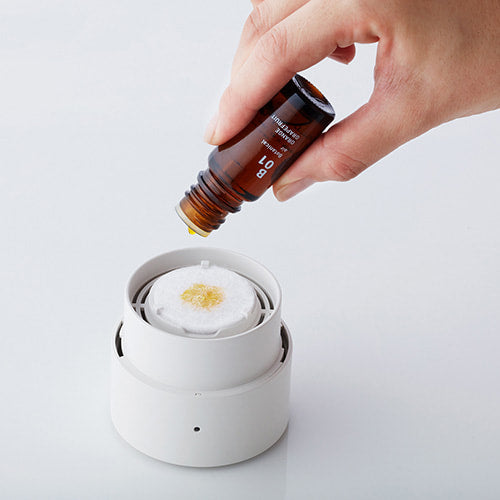 Fan Diffuser ko - Slowood