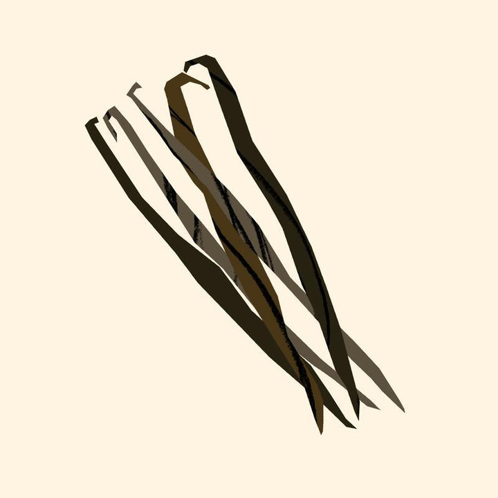 Organic Vanilla CO2 Extract (20% in Jojoba Oil) 5ml - Slowood