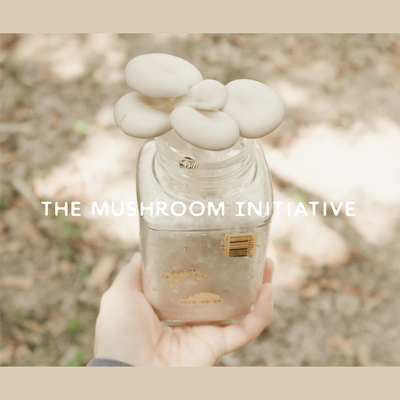 The Mushroom Initiative