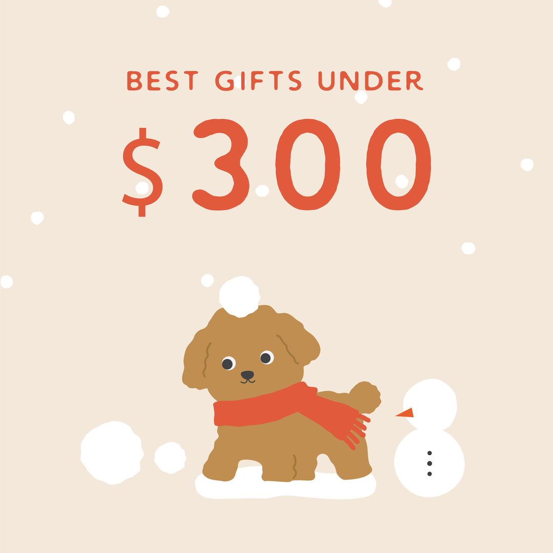 Best Gifts Under $300