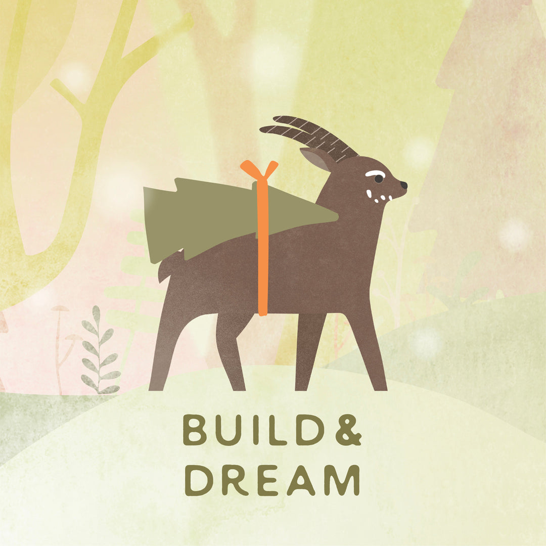 Build & Dream