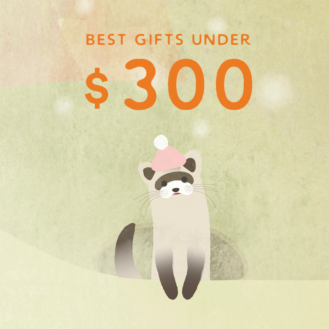 Best Gifts Under $300