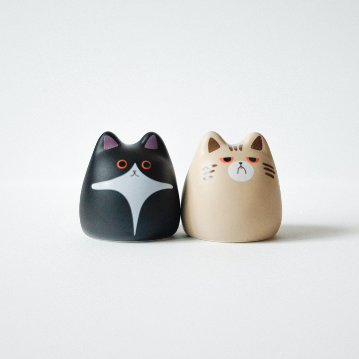 Stick with a cat - Kam