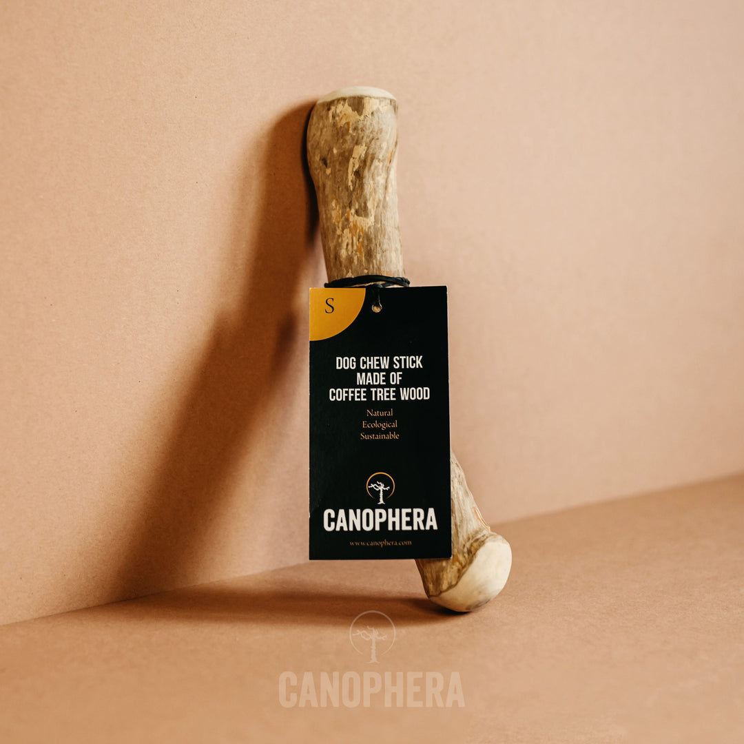 Canophera Coffee Wood Dog Chew (Small)
