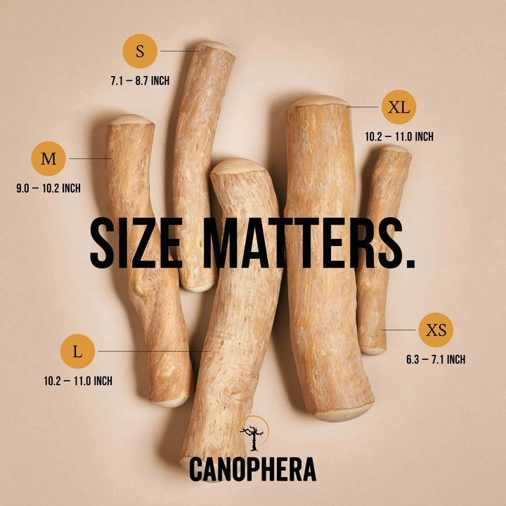 Canophera Coffee Wood Dog Chew (X-Large)