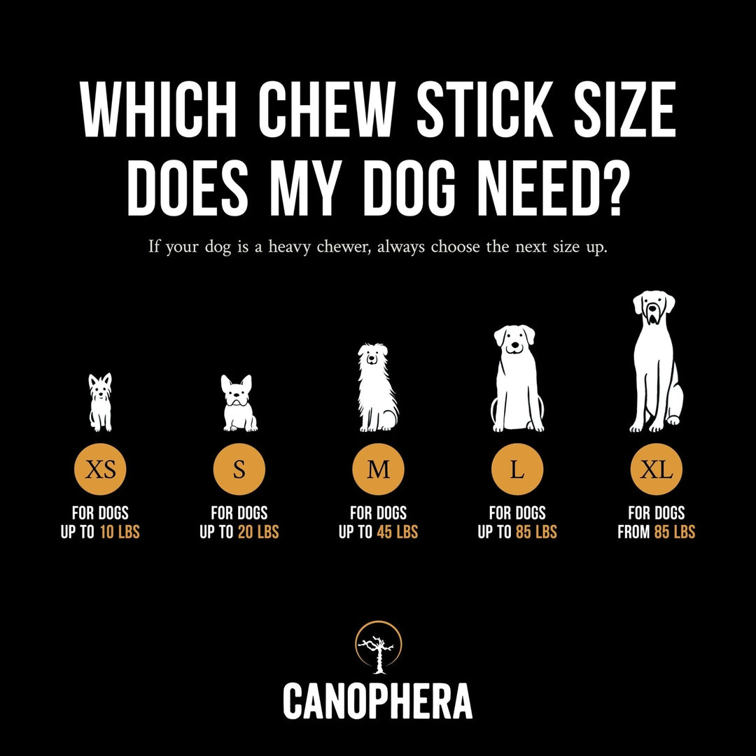 Canophera Coffee Wood Dog Chew (Medium)