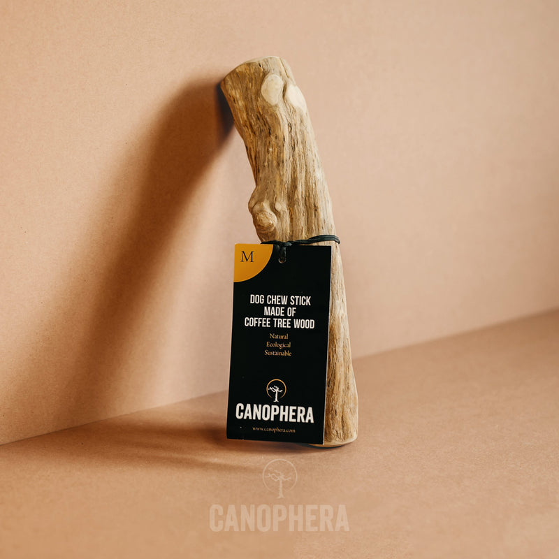 Coffee Wood Dog Chew - Medium