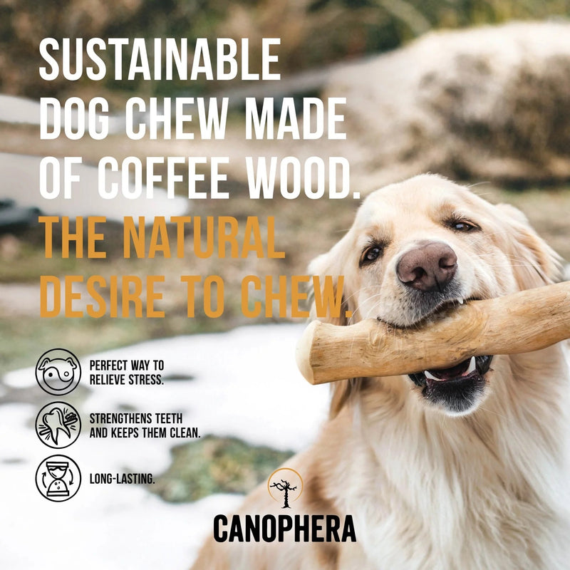 Coffee Wood Dog Chew - Medium