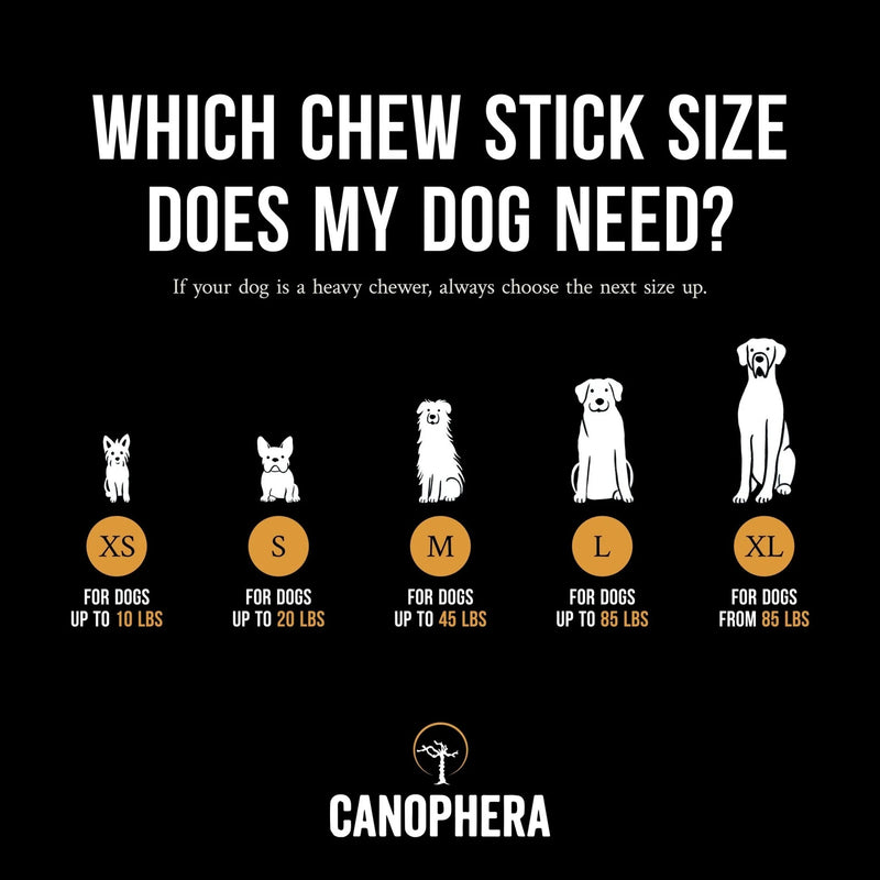Coffee Wood Dog Chew - Medium