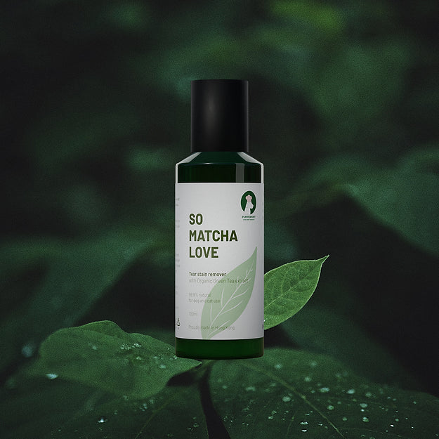So Matcha Love - Tear Stain Remover - Slowood
