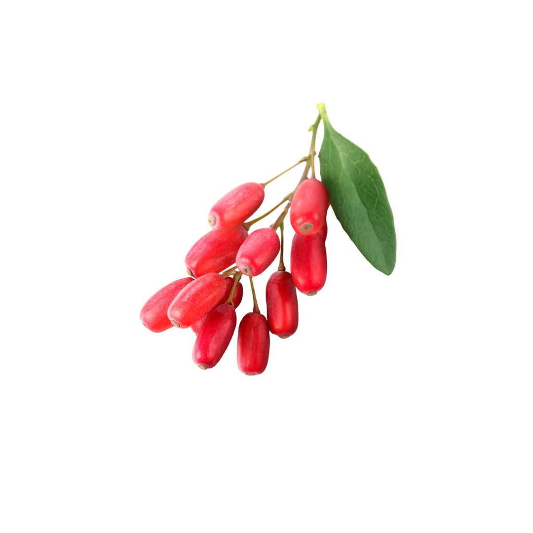 Blood Sugar Balance (90 Vege Capsule) - Slowood