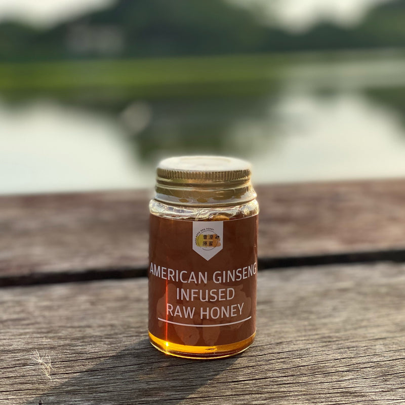Ginseng Infused Raw Honey 150ml - Slowood