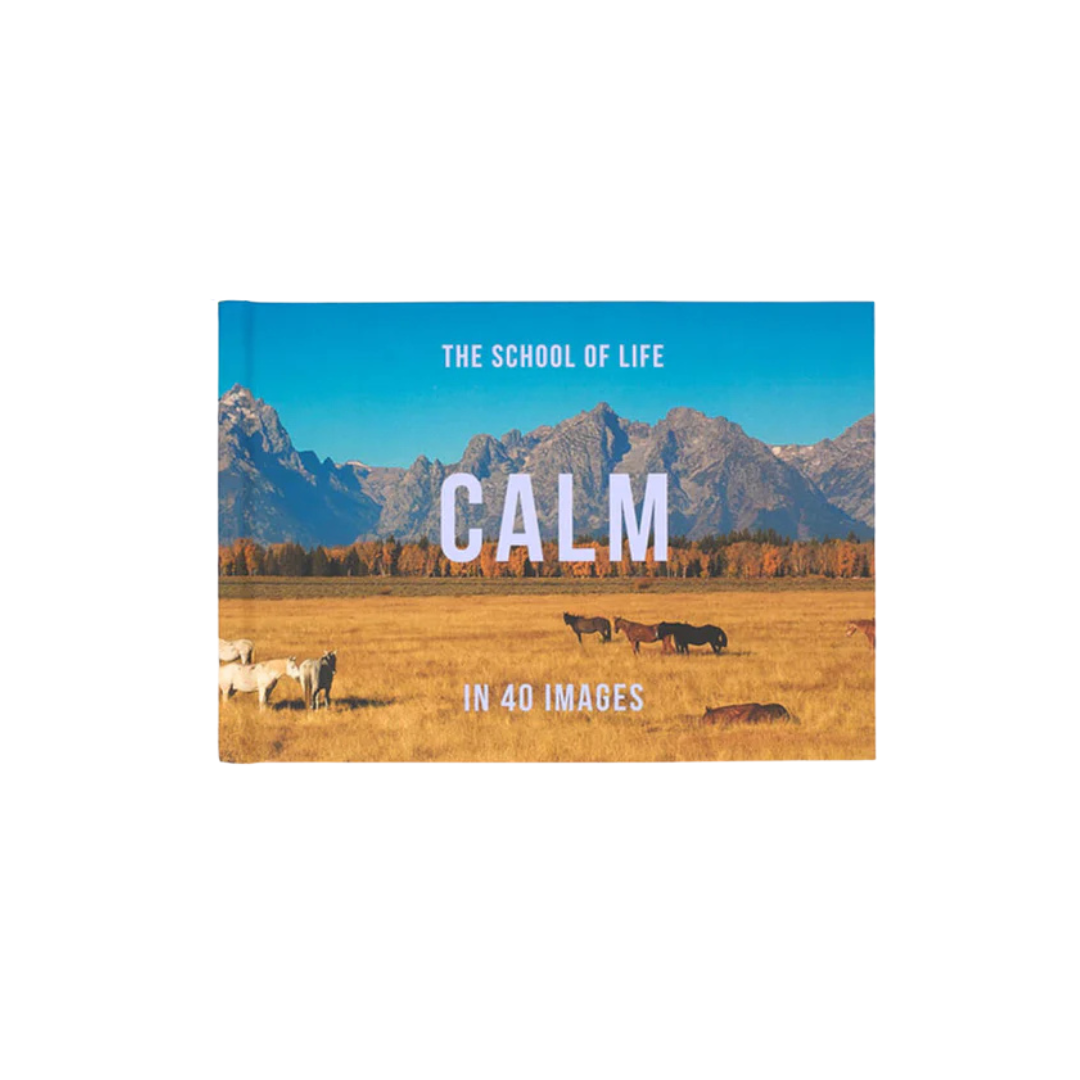 TSOL Press: Calm in 40 Images