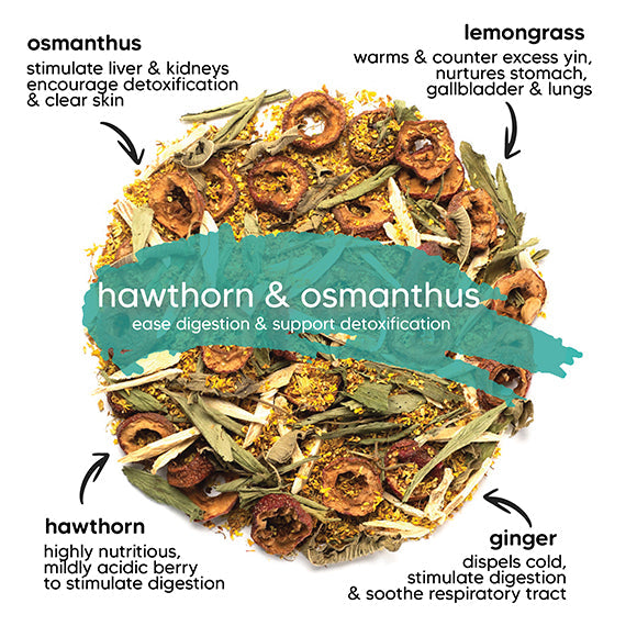 Hawthorn & Osmanthus - Soothing Digestive Support (10 teabags) - Slowood