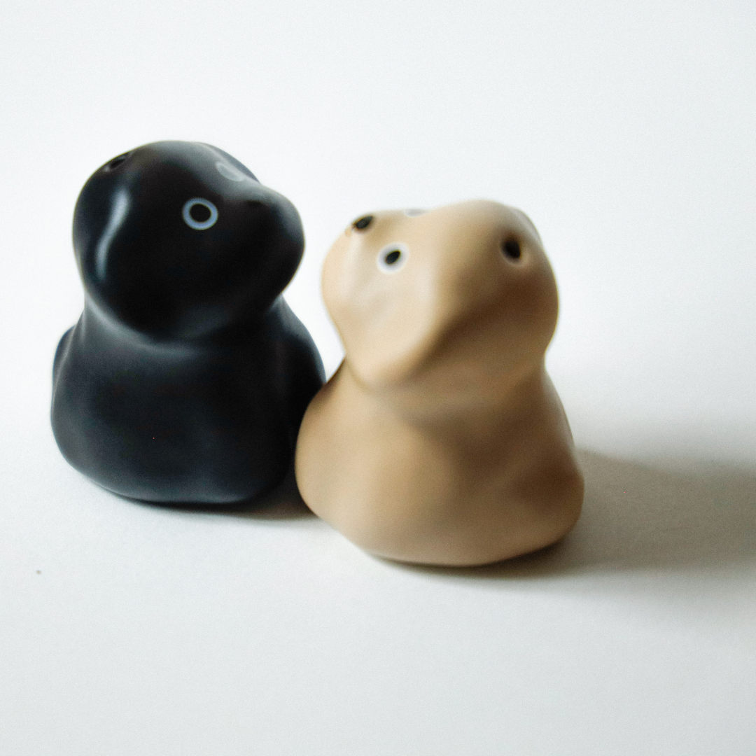 Stick with a dog - Scruffy