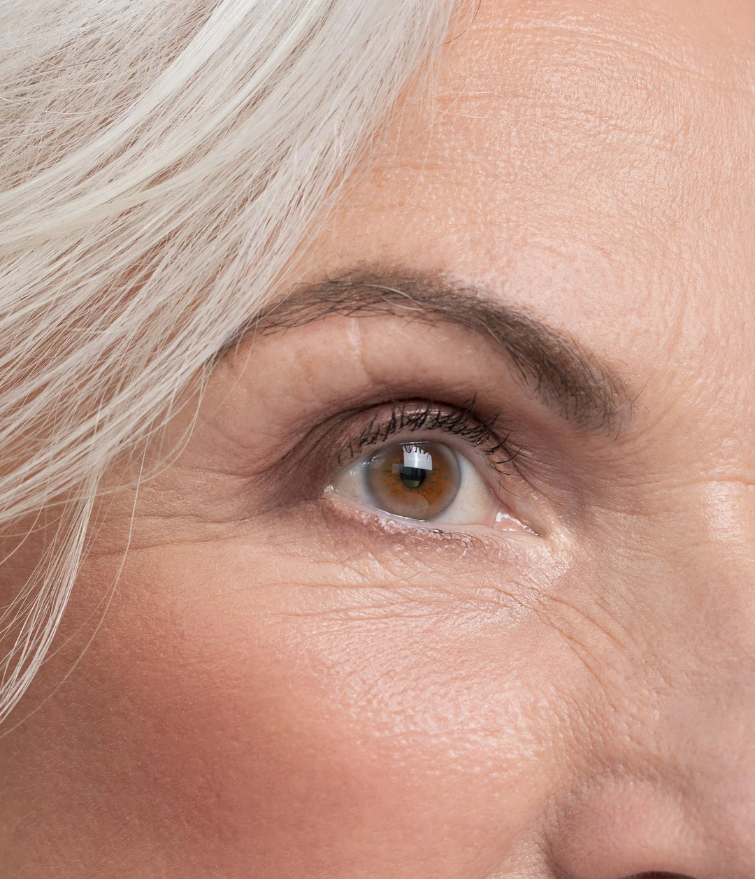 Hybrid Eye Pigment - Slowood