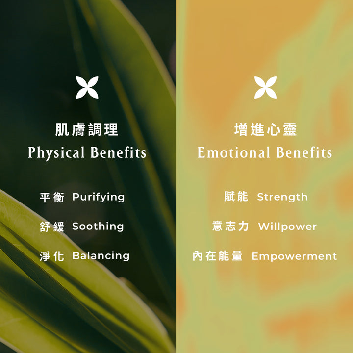 Lemon tea tree essential oil balancing face mask - Slowood