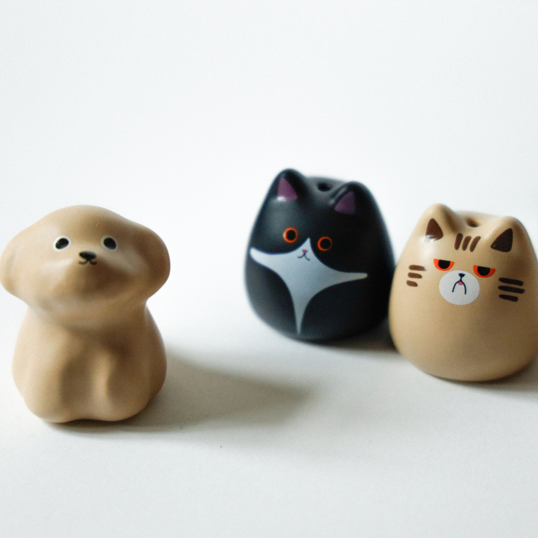 Stick with a dog - Scruffy