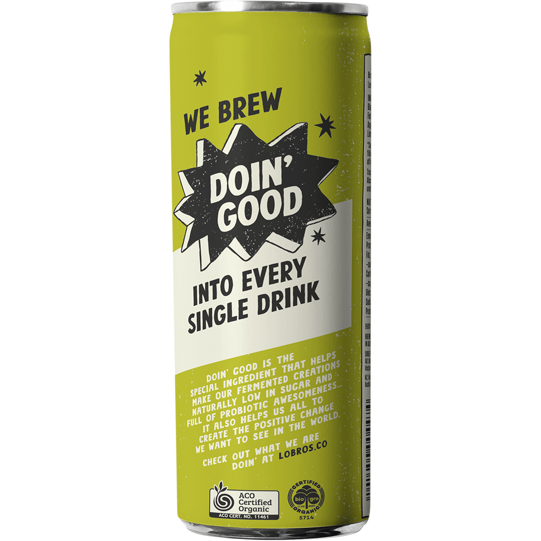 Organic Kombucha - Lemon, Lime & Bitters 250ml - Slowood