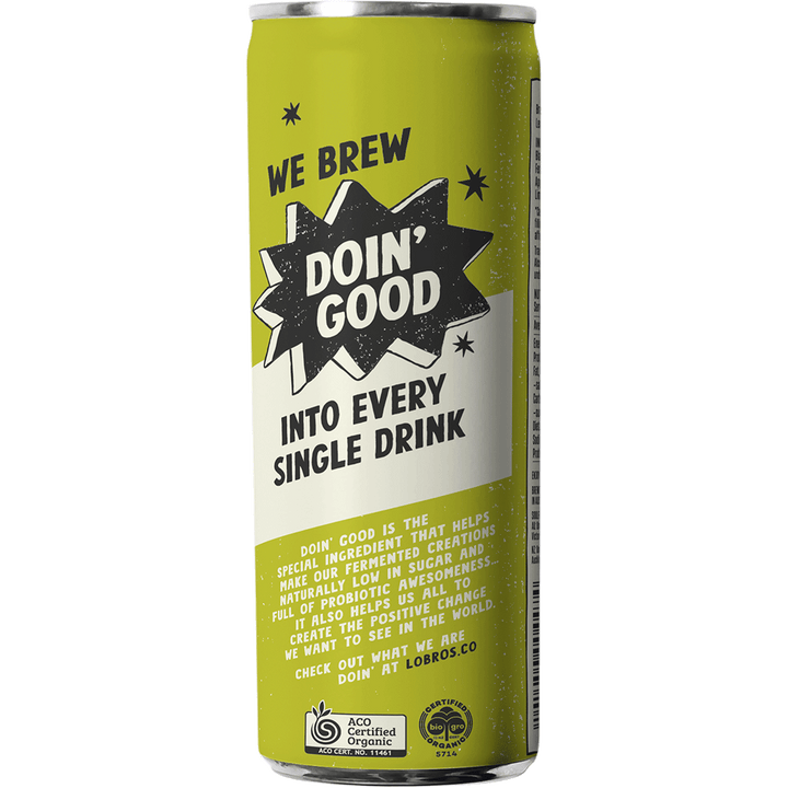 Organic Kombucha - Lemon, Lime & Bitters 250ml - Slowood