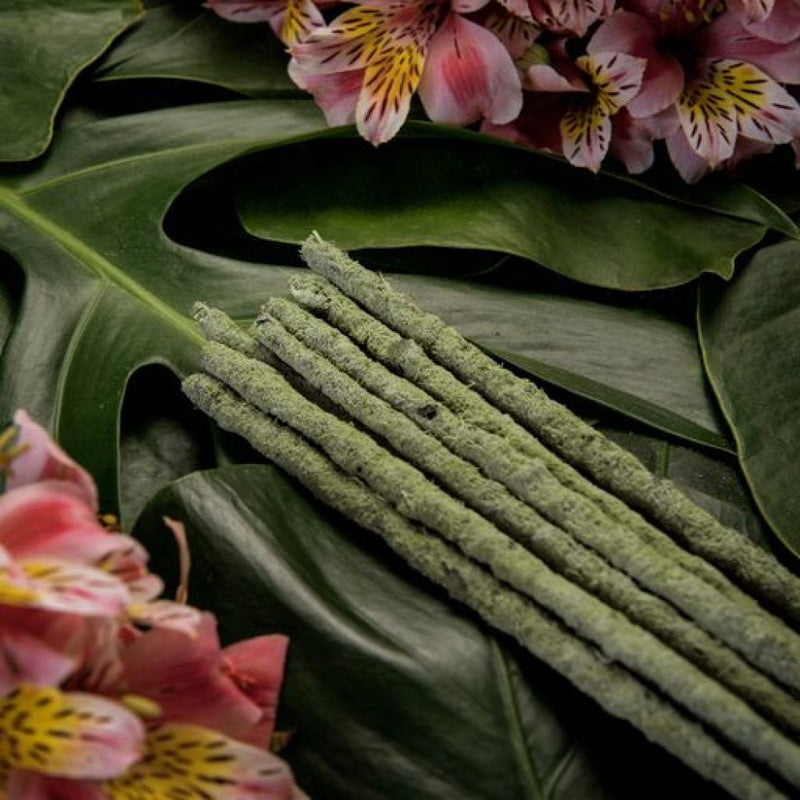 Incense Botanical Green Tea - Champa