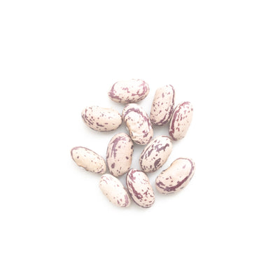 B21 Organic Pinto Beans (light speckled kidney) Canada - Slowood
