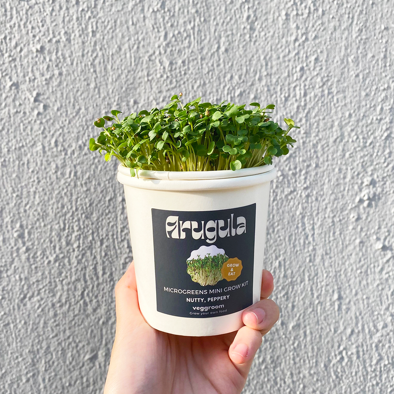 Microgreens Grow Cup Pea
