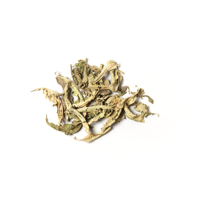 H03 Lemon Verbena Superior - Slowood