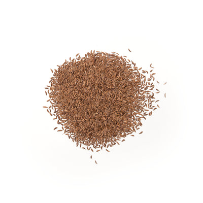 SP39 Caraway Seed - Slowood