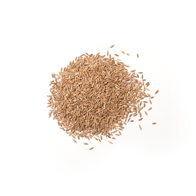 SP42 Cumin Seed - Slowood