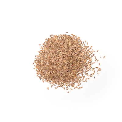 SP43 Dill Seed - Slowood