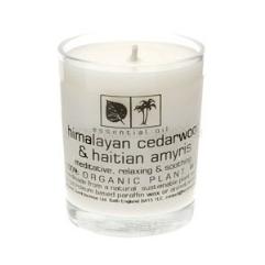 Himalayan Cedarwood & Haiti Amyris Candles - Slowood