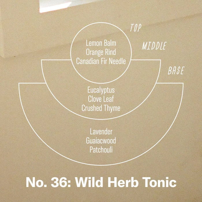 Wild Herb Soy Candle - Slowood