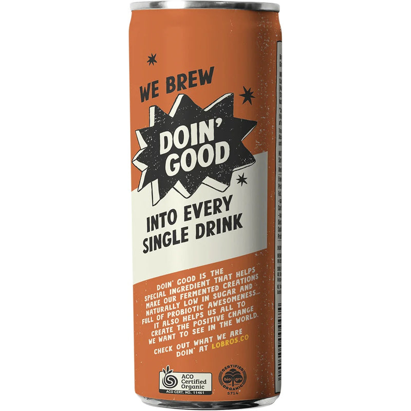 Kombucha Soda Cans - Ginger Beer 250ml - Slowood