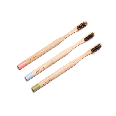 ECO BAMBOO Tooth Brushes - Adult (3pcs) - Slowood