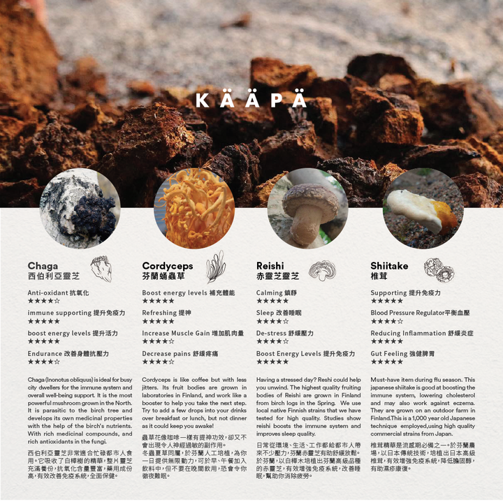 Cordyceps SOMA tincture - Slowood
