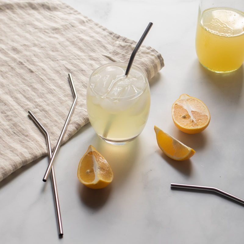 Onxy Stainless Steel Straw - Slowood